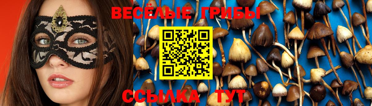 Псилоцибиновые грибы мухоморы  Галлюциногенные грибы мухоморы  Вход с VPN  Салехард 