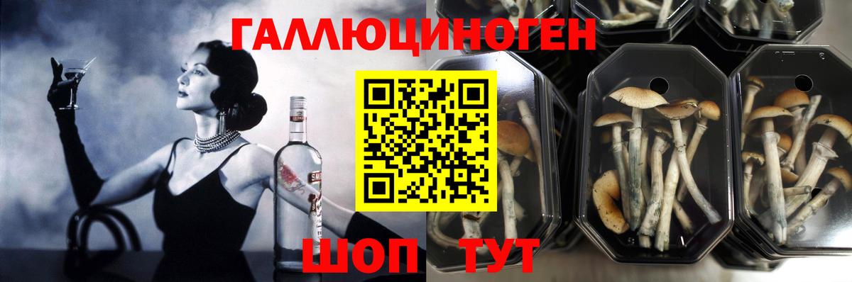 Галлюциногенные грибы ЛСД Салехард